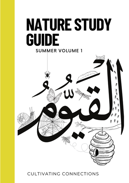 Nature Studies Guides - Cultivating Connections