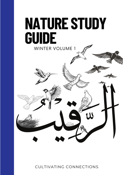 Nature Studies Guides - Cultivating Connections